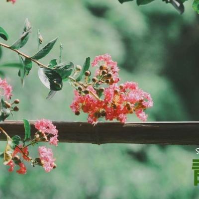 pg娱乐电子游戏下载手机版