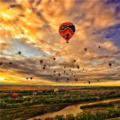 单机的打鱼游戏下载手机版