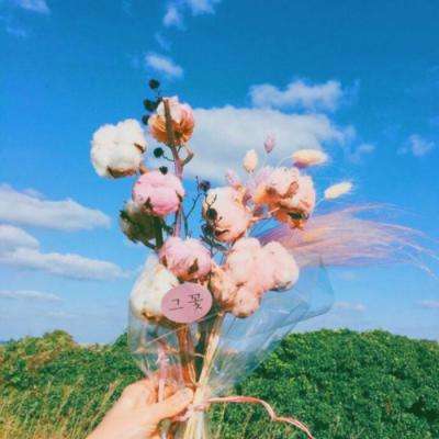 pg棋牌软件平台手机app下载